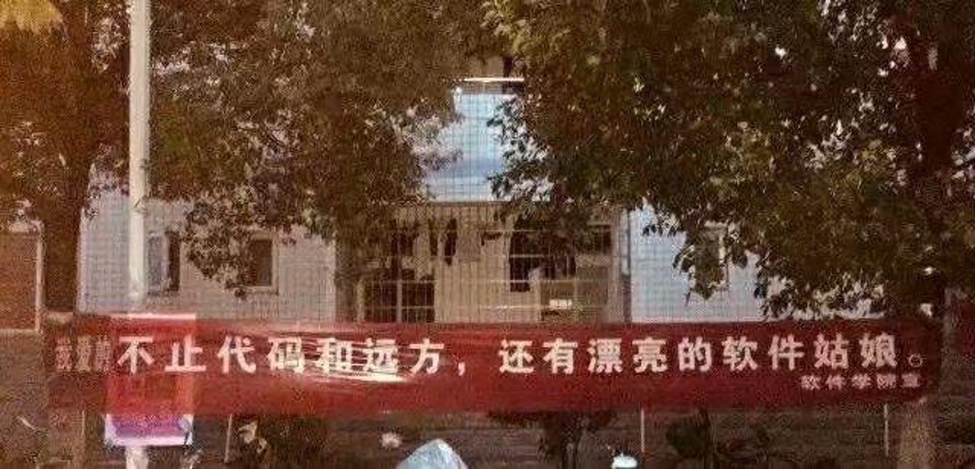 软件定制开发,企业选择还是自己动手?